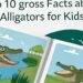 Gatorsgross.com Top 10 Gross Gator Facts For kids