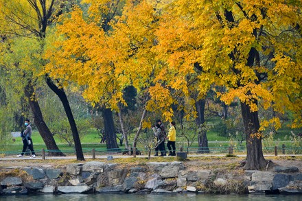 The Cultural Heritage Behind Veneajelu